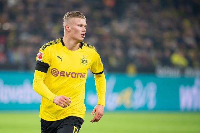 前后车灯 前后车灯